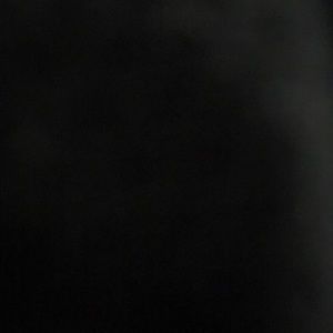 Meet your Posher, Paul